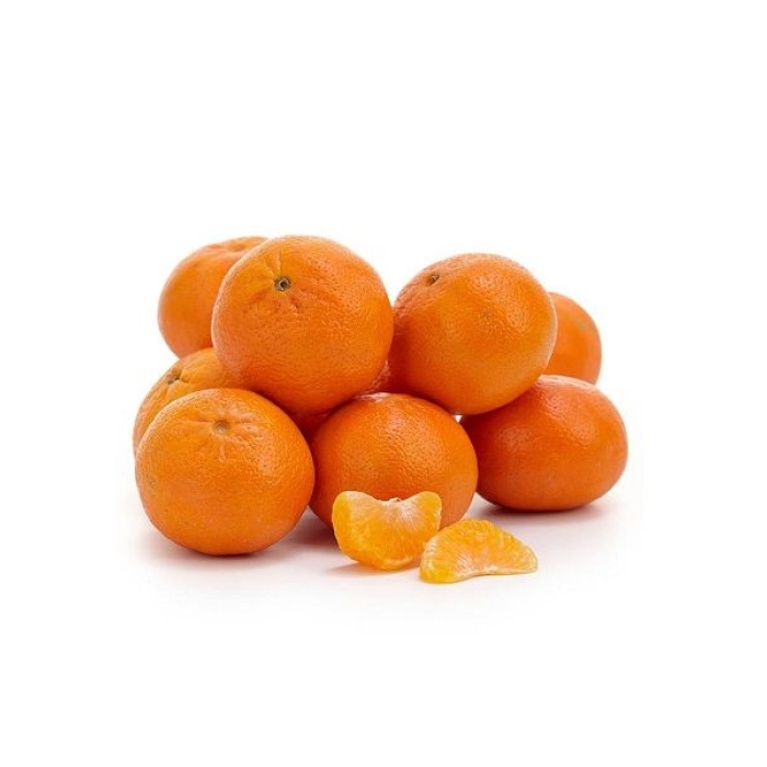 Mandalina Fidanı Ortanik Mandalina (Kıbrıs Mandalinası) Citrus reticulata Ortanique, 60-80 cm, Tüplü 3 yaş
