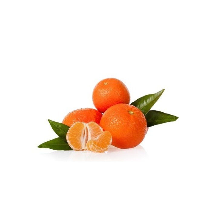Mandalina Fidanı Citrus reticulata Nova, +120 cm, +3 Yaş, Tüplü