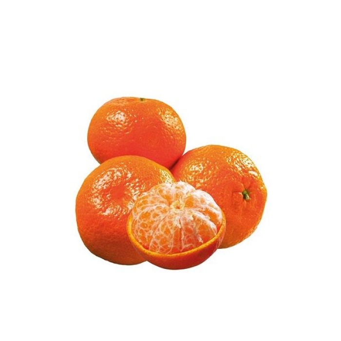 Mandalina Fidanı Citrus reticulata King, +120 cm, 4 Yaş, Tüplü