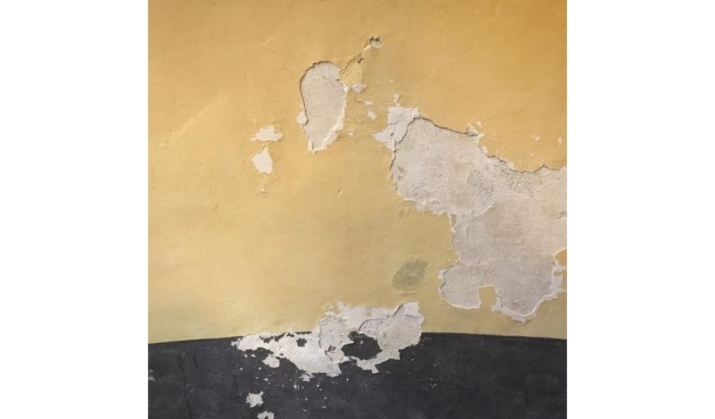 How to avoid moisture damage. конденсат на потолке контейнера. Refill. отсутствие сырости на белом фоне. Damp.