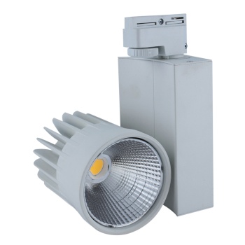 Ledli Ray Spot Aydınlatma 30W-40W