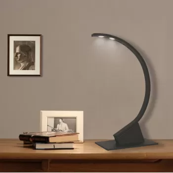 Led Masa Lambası TYPE-C EYE 55*25 cm