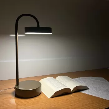 Led Masa Lambası OWL 45 cm