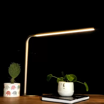 Led Masa Lambası LARGA 50*45 cm