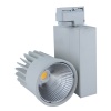 Ledli Ray Spot Aydınlatma 30W-40W