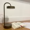 Led Masa Lambası OWL 45 cm