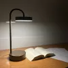 Led Masa Lambası OWL 45 cm