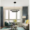 Led Avize Sarkıt 2CIRKEL 60 cm