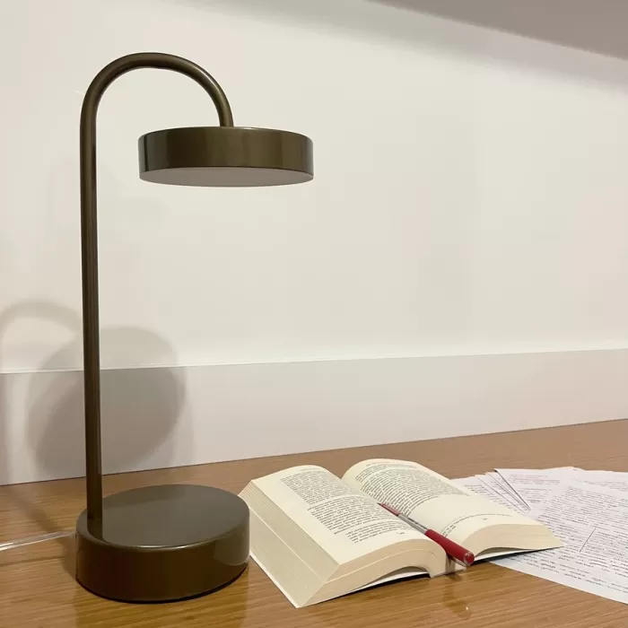 Led Masa Lambası OWL 45 cm