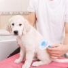 BUFFER® Kedi Köpek Tüy Toplayıcı Kendini Temizleyebilen Ergonomik Saplı Evcil Hayvan Tarağı Mavi