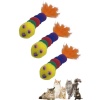 BUFFER® Yumuşacık İpli Tırtıl Şeklinde Rengarenk Sevimli Evcil Hayvan Oyuncağı