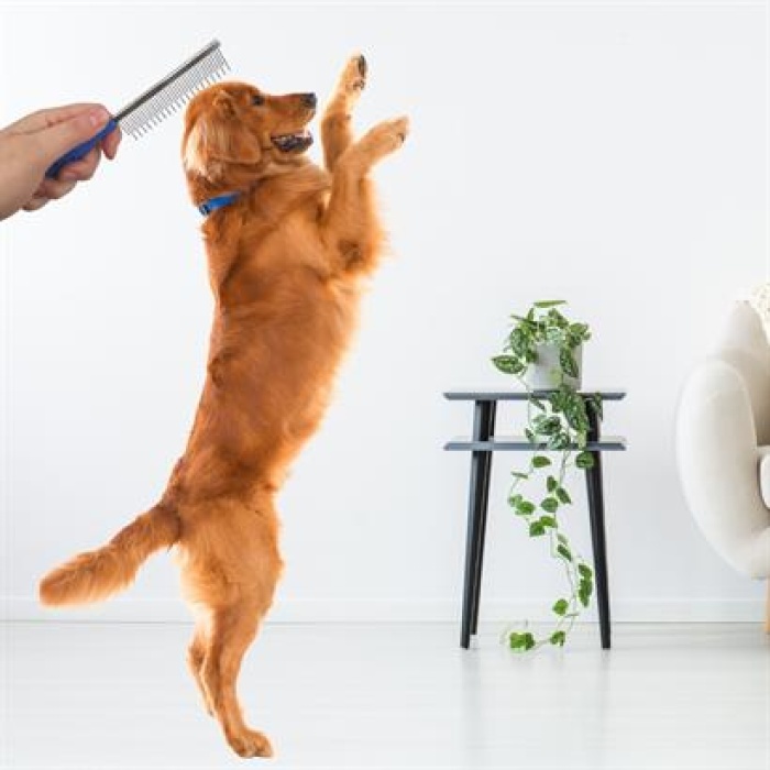 BUFFER® Tüy Açıcı Kedi Köpek Tarağı Tek Taraflı Metal Dişli Evcil Hayvan Bakım Fırçası