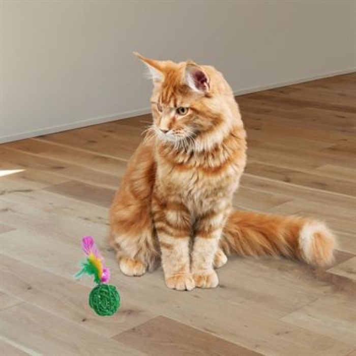 BUFFER® 2li Rattan Renkli Peluş Tüy Kedi Köpek Oyuncak Yakalama Çiğneme Çıngıraklı Top Oyuncağı