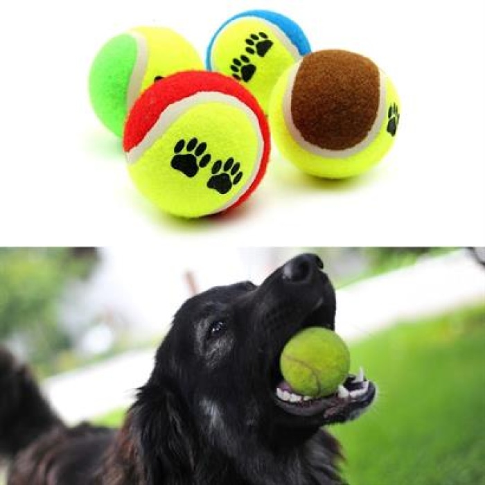BUFFER®  3lü Renkli Desenli Tenis Topu Kedi Köpek Oyuncağı