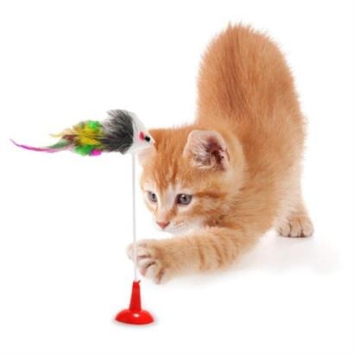 BUFFER® 2li Vantuzlu Fareli Tüylü Hareketli Çanlı ve Esneyen Eğlenceli Peluş Kedi Oyuncağı
