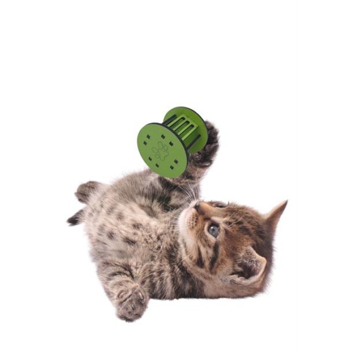 BUFFER®  Mini Silindir Eğlenceli Renkli Sağlam Küçük Pati İzi Şekilli Kedi Oyuncağı