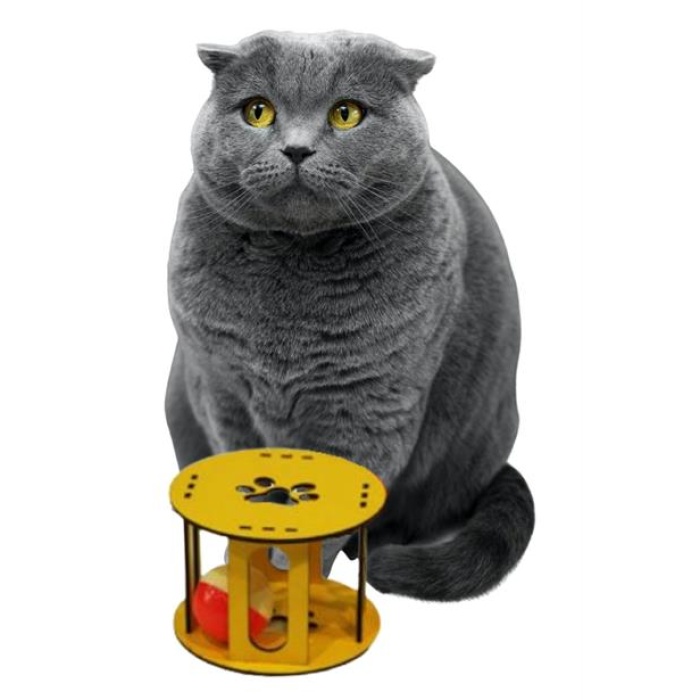 BUFFER® Ahşap Kafes Renkli Toplu Kedi Patisi Desenli Sesli Kedi Oyuncağı