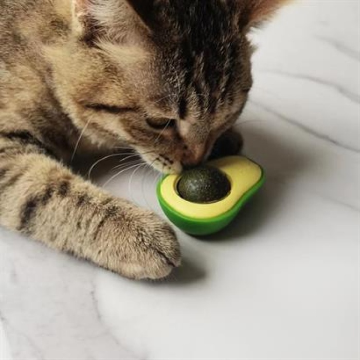 BUFFER® Avokado Model Yapışkanlı Kedi Oyuncağı Yenilebilir Kedi Nanesi Otu