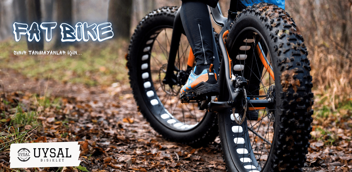 Fat Bike