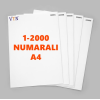 1den 2000e Numaralı A4 Kağıt - Copier bond 80 gr