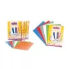LAMİESS A4 CİLT KAPAĞI 160 MC 100 LÜ 153020053