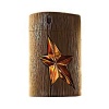 Thierry Mugler A Men Pure Wood