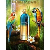 Montale Tropical Wood