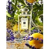 Jo Malone London 154