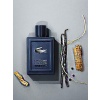 Lacoste L Homme intense