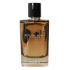 Zara Metallic Spirit
