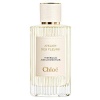 Chloe Atelier Des Fleurs Hibiscus Abelmoschus