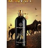 Montale Arabians Tonka