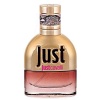 Roberto Cavalli Just Cavalli