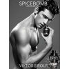 Viktor Rolf SpiceBomb