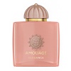 Amouage Guidance