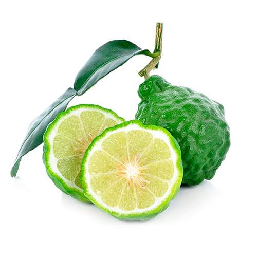 Bergamot