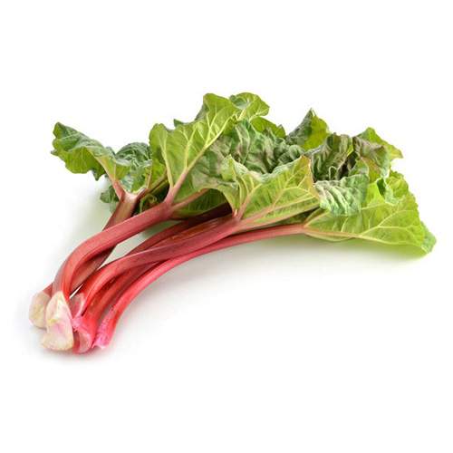 Ravent - Rhubarb