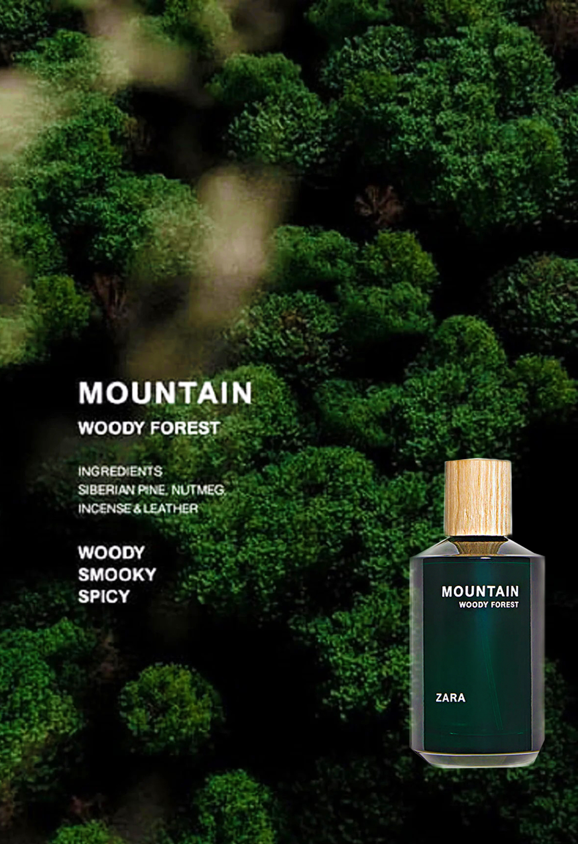 Zara Mountain Woody Forest