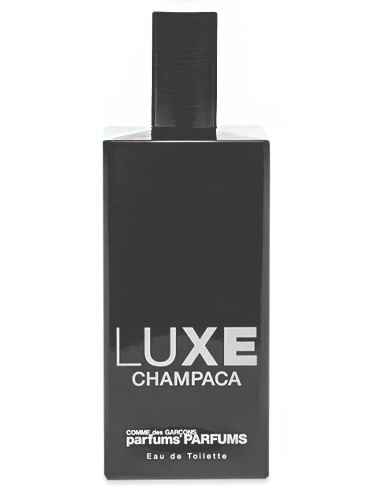 Comme Des Garcons Luxe Champaca