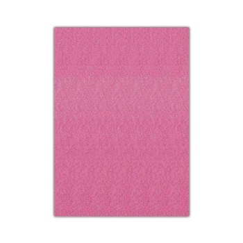 Bigpoint Keçe 50x70cm 2mm Pembe 10lu Paket