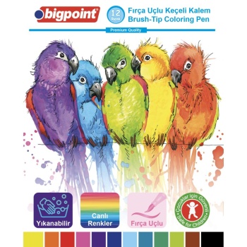 Bigpoint Fırça Uçlu Keçeli Kalem 12li Set (Plastik Kutulu)