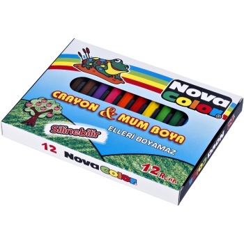 NOVA COLOR MUM BOYA RENKLİ 12Lİ