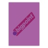 Bigpoint A4 Cilt Kapağı 150 Mikron Şeffaf Mor 100lü Paket