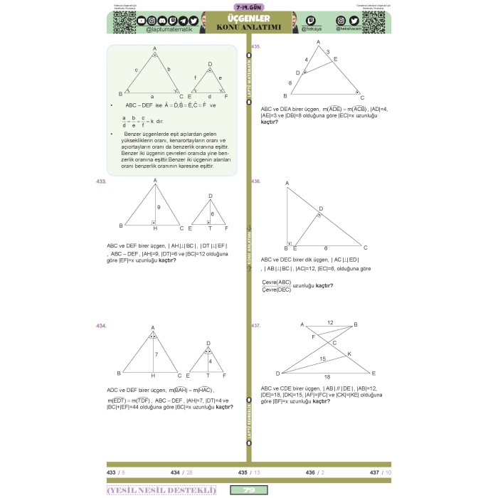 Laptü Geometri Tüm Kitap RENKLİ