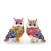 Swarovski Taşlı 2Li Baykuş Seti