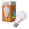 Pmled-12 10 Watt 12 Volt 6500K Led Ampul