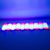 12 Volt 3.6 Watt Rgb Flaşlı Yanıp Sönen 2835 Modül Led