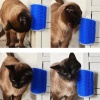 ShopZum Pratik Kedi Tüyü Kaşıma Ve Tarama Aparatı Duvara Monte Kaşıma Aleti