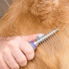 ShopZum Düğüm Açıcı Pet Fırçası Emniyetli Uzun ve Çelik Dişli Kedi Köpek Tüy Kıtık Açma Tarağı