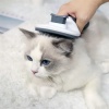 ShopZum Kedi Köpek Tüy Toplayıcı Kendini Temizleyebilen Ergonomik Rahat Evcil Hayvan Tarağı Gri